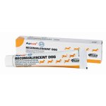 Aptus Reconvalescent DOG pasta 100g