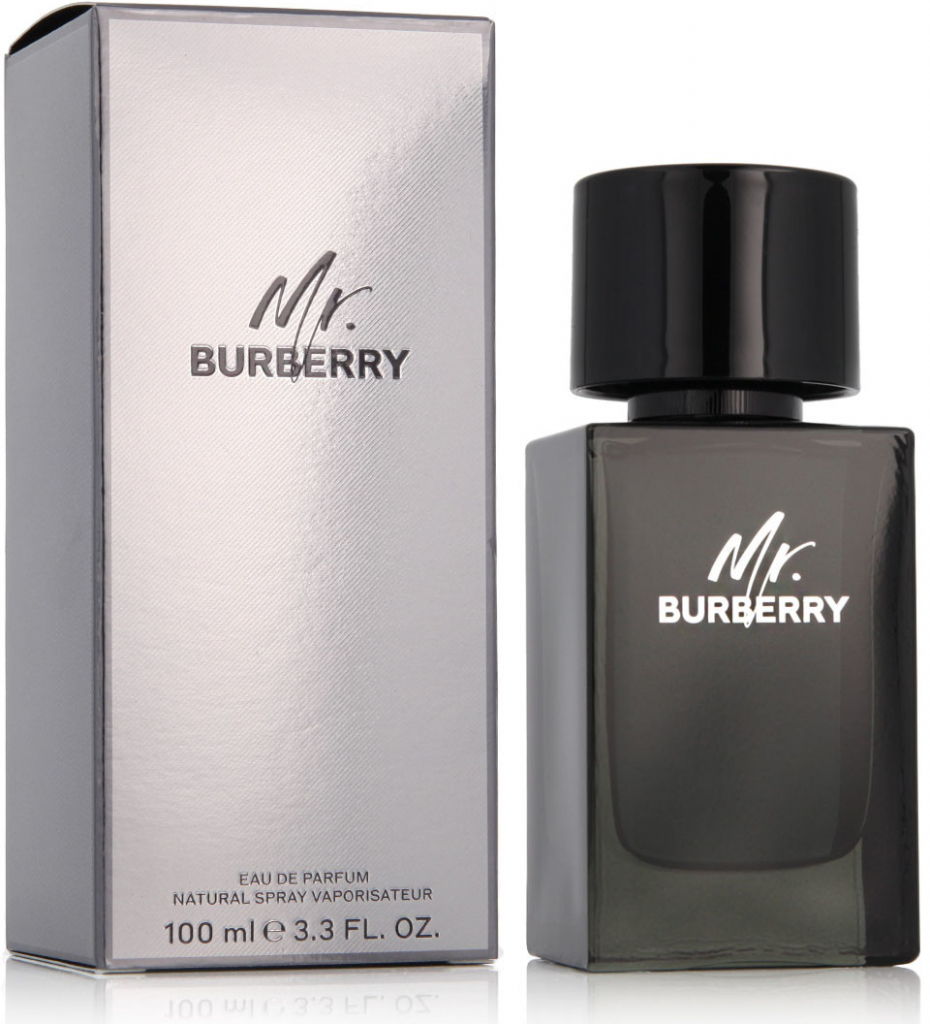 Burberry Mr. Burberry parfémovaná voda pánská 100 ml
