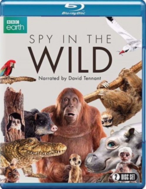 Spy in the Wild BD