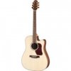 Walden D-710CE Walden D-710CE
