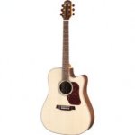 Walden D-710CE
