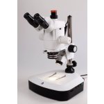 Arsenal SZP 3112-T