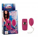 Rubber cote Remote Egg