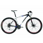 PELLS RAZZER 629 2010