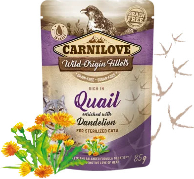 Carnilove Rich in Quail Enriched with Dandelion for sterilized 24 x 85 g