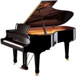 Yamaha C6XA PE