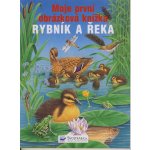 Rybník a řeka - moje první obrázková knížka