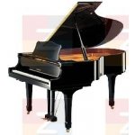 Yamaha C2M-EP