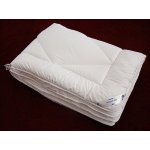 Přikrývka duté vlákno celoroční Sladké sny 200x220