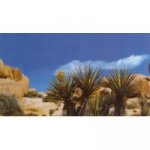 Fotopozadí Madagaskar/Deep Blue 60x25 m