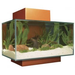 Aquarium 3D Fluval Edge Orange 23 l