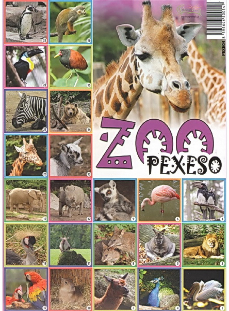 Deny Pexeso ZOO