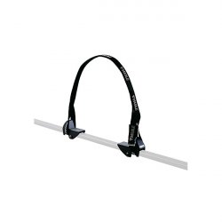 Thule 579