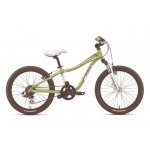 Specialized Hotrock 20" Boy 2012