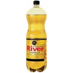 River Tonic GINGER 2L
