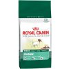 Royal Canin Mini Junior 2kg