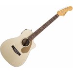 Fender Malibu CE