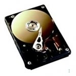 Fujitsu - Siemens 250GB, SATA, 7200rpm, non hot plug, 3,5", S26361-F3461-L250