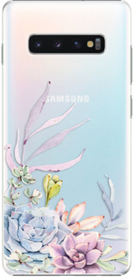 Pouzdro iSaprio Sukulent 01 Samsung Galaxy S10 Plus