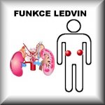 Bylinná směs LEDVINOVÉ KAMENY