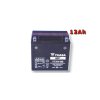 Yuasa YTX14-BS