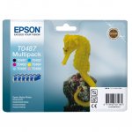 Epson T0487