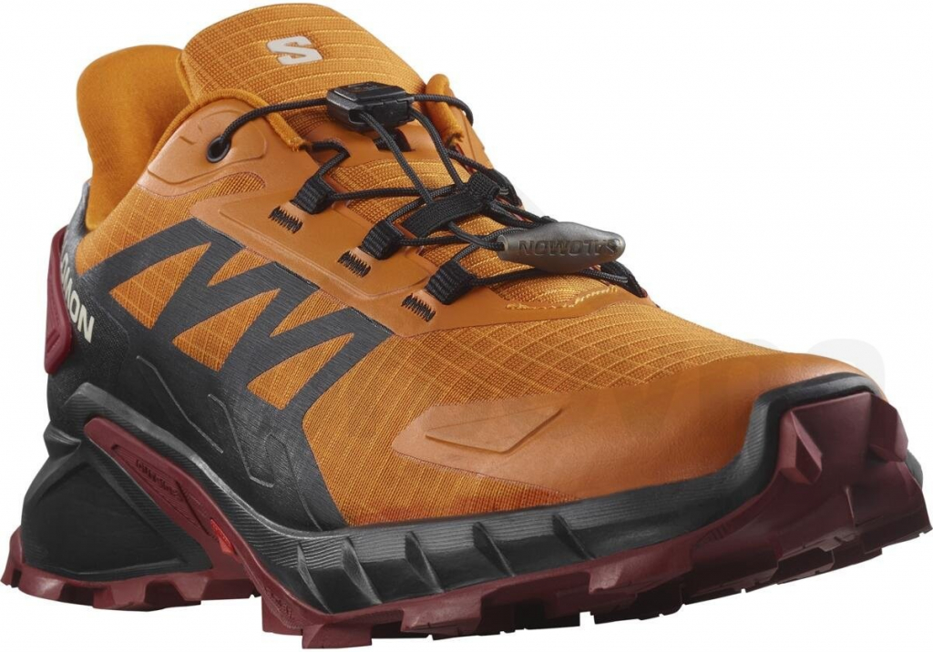 Salomon Speedcross 4