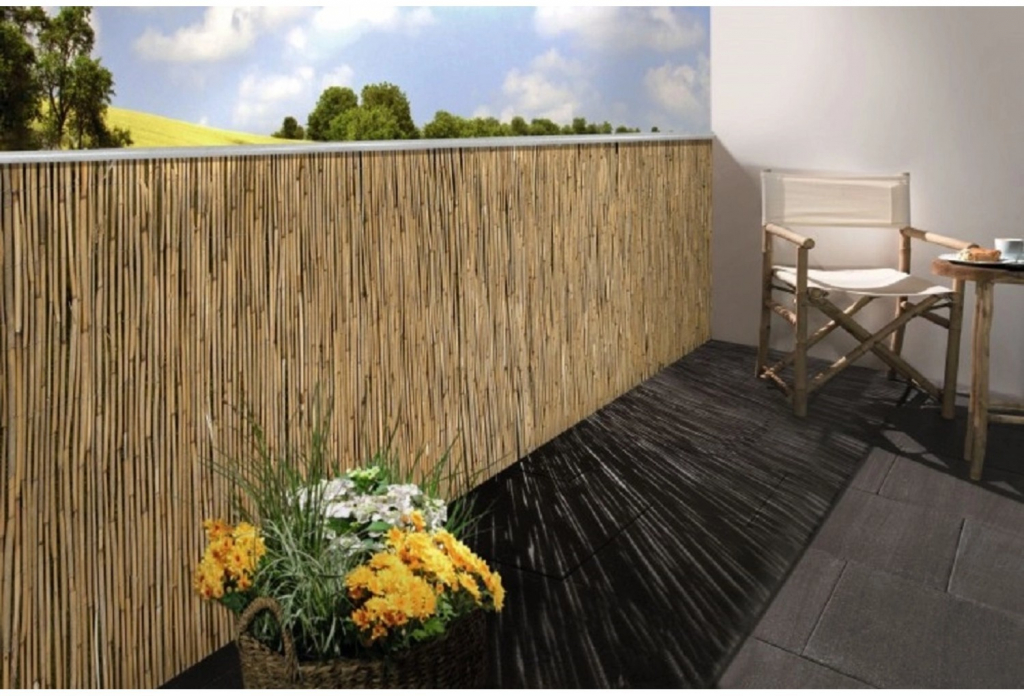 Floraworld Rákosová rohož Comfort plus 200 x 600 cm