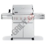 WEBER Summit S 450