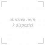 Tendr dlouhý nízký patina