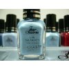 Four seasons 49 lak na nehty 14ml