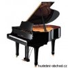 Yamaha C1 M PE