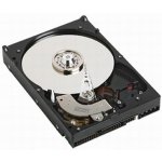 Western Digital Caviar Blue 320GB, 3,5", SATAII, 7200rpm, 8 MB, WD3200AAJB