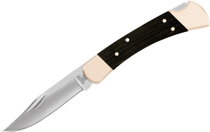 Buck Knives Buck 110 Folding Hunter, 0110BRS-B