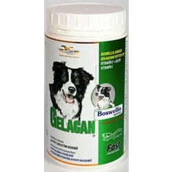 Orling Gelacan Fast 500g