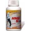Starlife HMB Star 90 kapslí