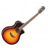Yamaha APX 700