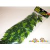 HAGEN Rostlina Ficus velká 70 cm