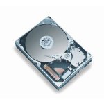 HP 250GB, 3,5", NSATA, LFF, MDL, 7200rpm, 458939-B21