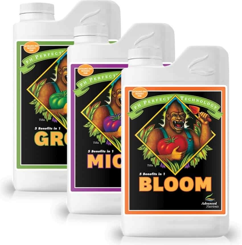 Advanced Nutrients Bloom pH Perfect 10 l