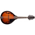 Stagg M20