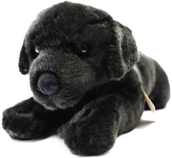 pes Labrador černý 48 cm