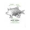 Boží hody - Jak jedli Židé v Čechách a na Moravě - Ruth Bondyová