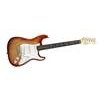 FENDER American Std Strat. RW