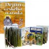 Dějiny udatného českého národa - a pár bezvýznamných světových událostí - Lucie Seifertová