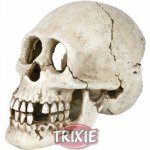 Trixie lidská lebka 15 cm