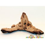 Kořen Mopani 30-45 cm