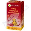 Megafyt Dětský ovocný čaj lesní jahoda 20x2g