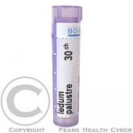 Ledum Palustre CH9 4g