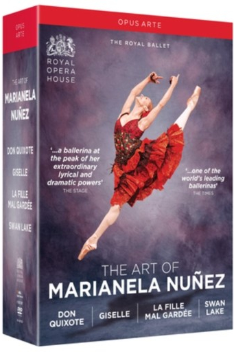 Art of Marianela Nuez DVD